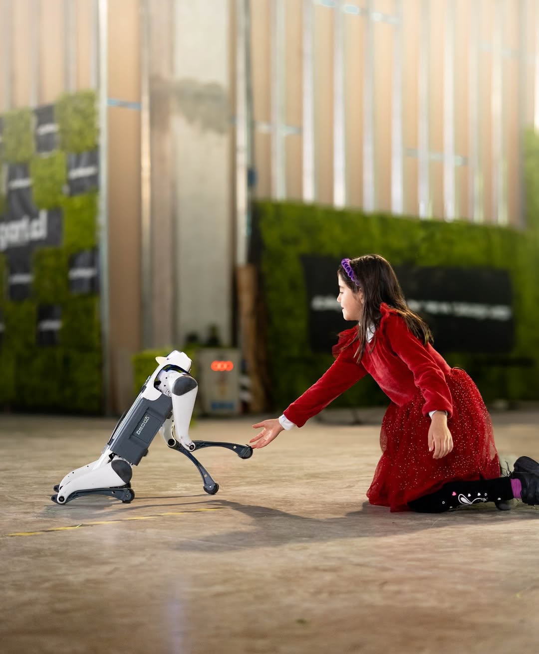 Retrato de una mujer joven con fondo de naturaleza